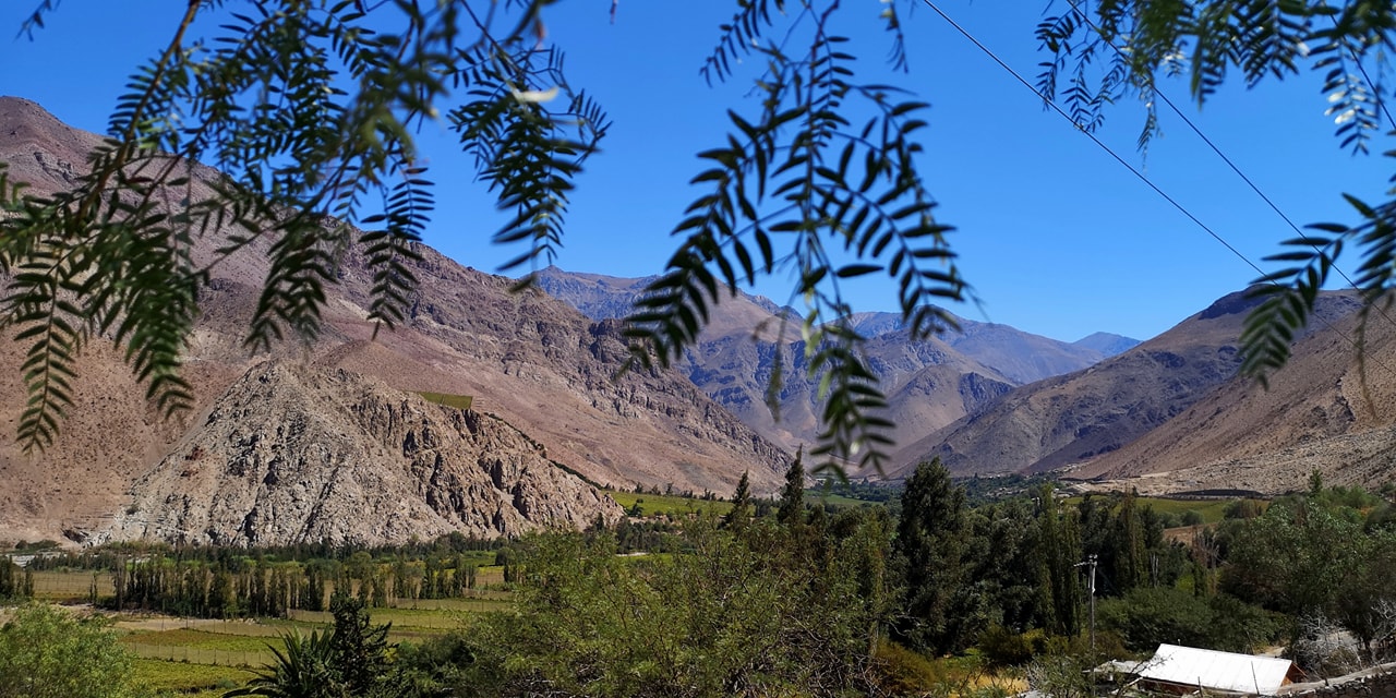 Viñedos y montañas del Valle del Elqui