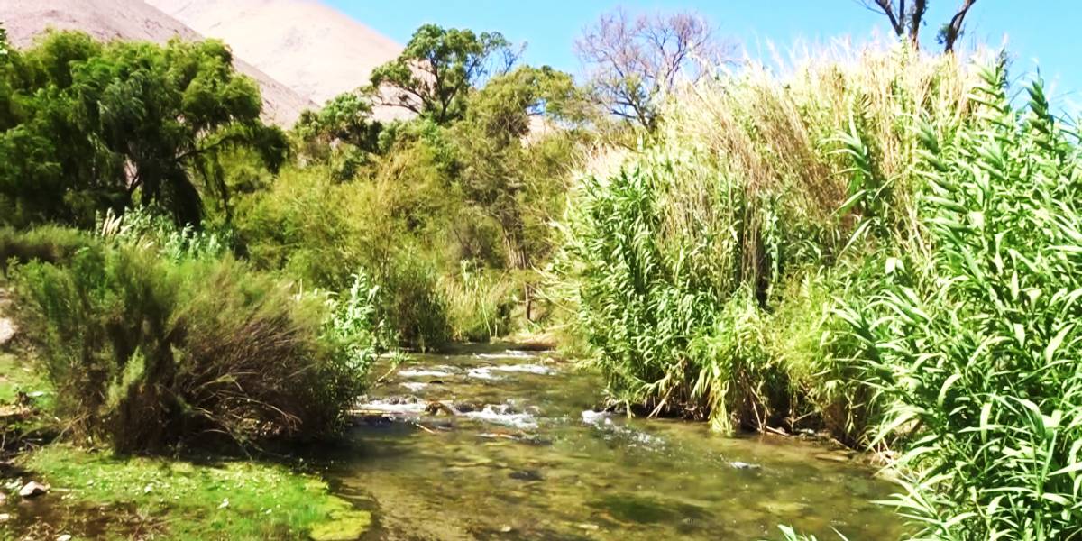 64 Rio Claro